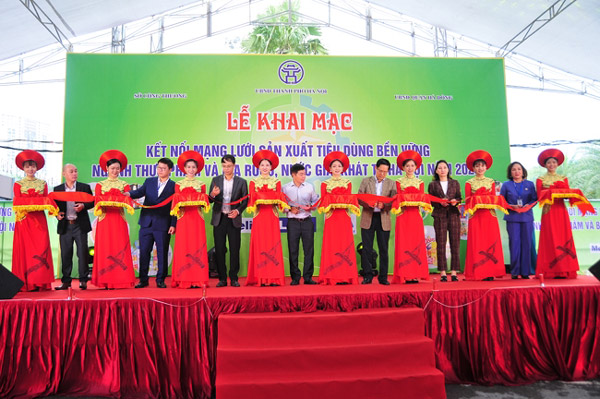 ket-noi-mang-luoi-tieu-dung