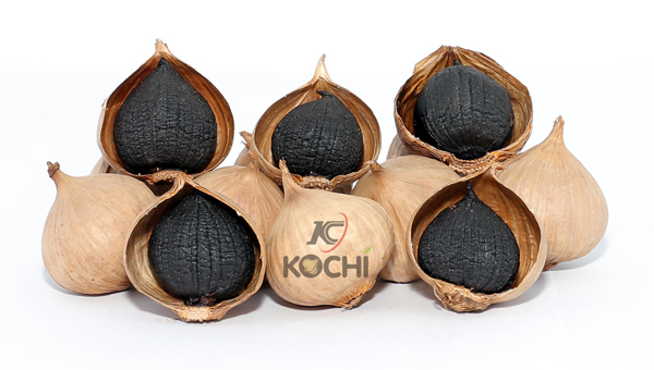 Tỏi đen chín sinh học cô đơn kochi