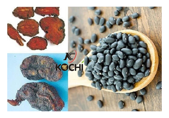 Cách chế biến hà thủ ô ngâm rượu