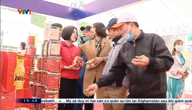 Video truyền thông Kochi trên VTV1