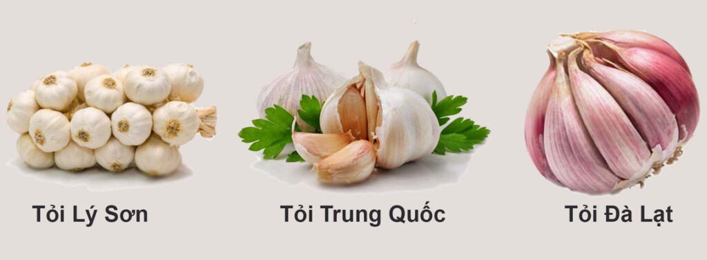 lý do tỏi đen lý sơn có giá cao