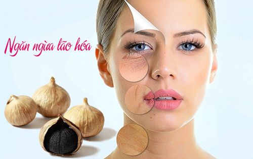 tác dụng của tỏi đen với phụ nữ trong việc chống lão hóa