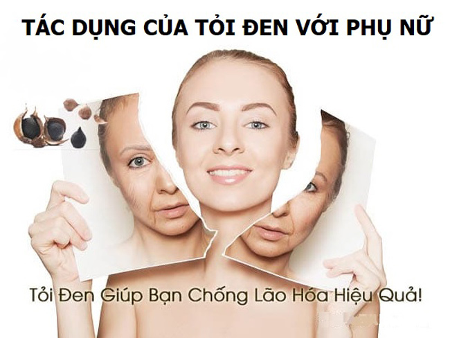 tỏi đen chống lão hóa