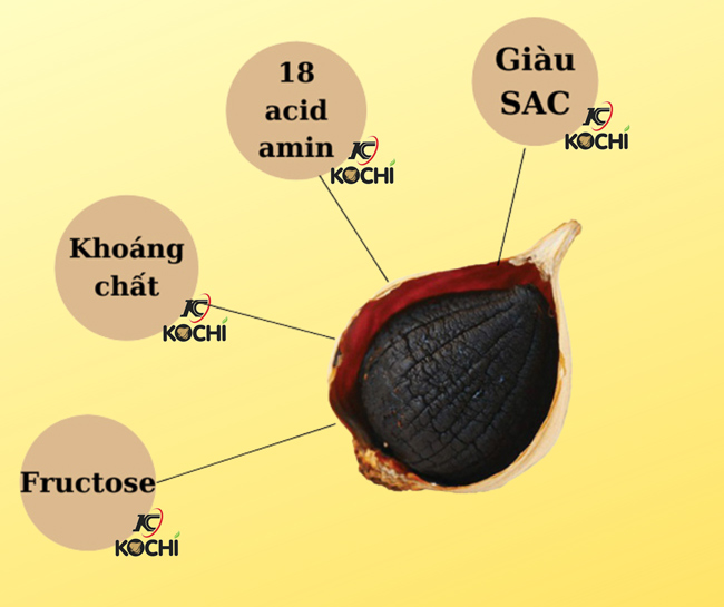 thành phần tỏi đen