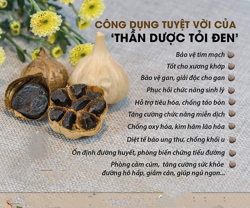 so sánh tỏi đen và tỏi thường về công dụng