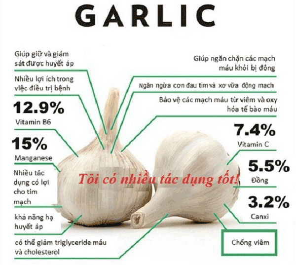 tác dụng tuyệt vời của tỏi