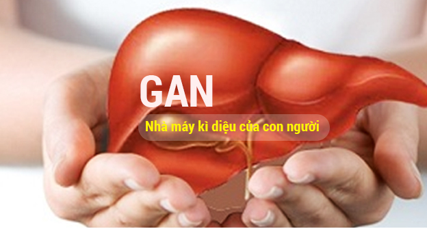 Gan- nhà máy kỳ diệu của cơ thể