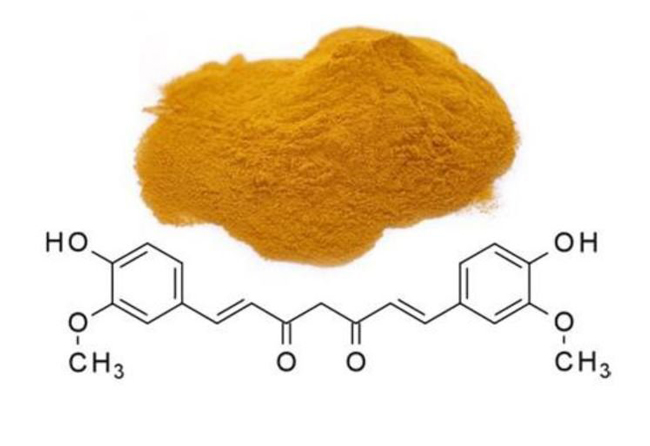 vai trò curcumin phòng chống ung thư