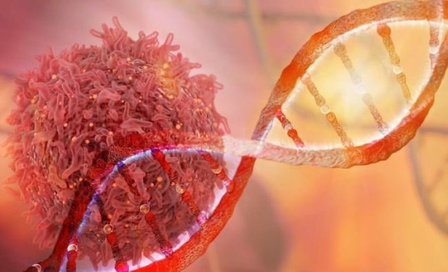 gen và phòng ngừa ung thư