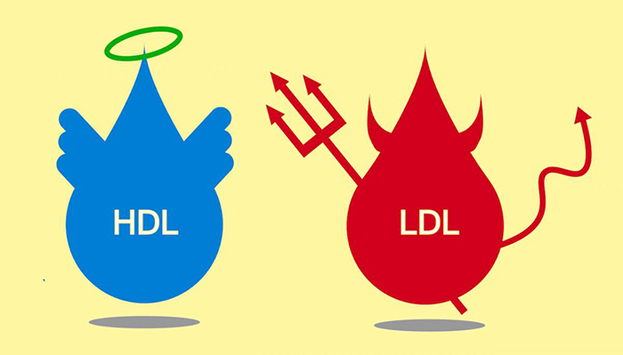 hdl